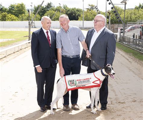 cork greyhound racing|2021 Friends & Supporters of Cork Greyhound Racing Irish .